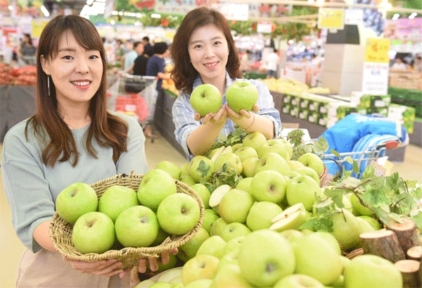 26일 서울 서초구 농협하나로마트 양재점에서 모델들이 올해 첫 출하된 아오리 사과를 소개하고 있다. (사진=농협유통) 
