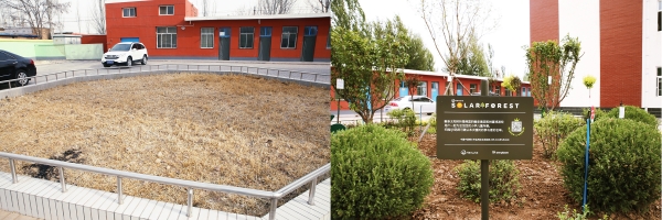 한화태양의숲 중국 닝샤 징롱소학교 조림 전(왼쪽)과 후 모습.(사진=한화그룹)
