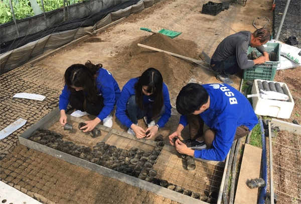 지난 9일 서울시내 농가를 찾은 해바라기 봉사단 청년들이 어르신을 돕고 있다. (사진=bhc) 