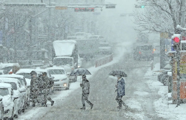 24일 오전 강원 춘천시 도심 중앙로 거리에 많은 눈이 내린 가운데 시민들이 횡단보도를 건너고 있다. (사진=연합뉴스)
