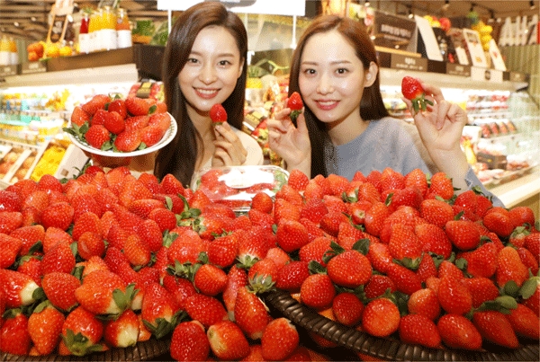 롯데슈퍼가 운영하는 롯데프리미엄푸드마켓에서 모델들이 올해 처음 출하된 딸기를 선보이고 있다. (사진=롯데슈퍼) 