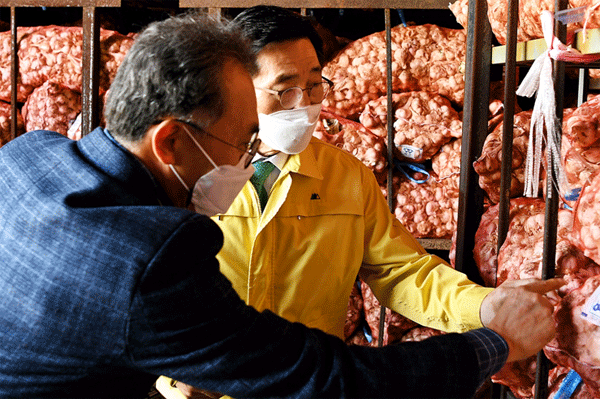 김춘진 한국농수산식품유통공사(aT) 사장(오른쪽)이 30일 전남 해남군의 정부 비축 농산물 보관 민간창고에서 마늘 품질을 살펴보고 있다. (사진=한국농수산식품유통공사) 