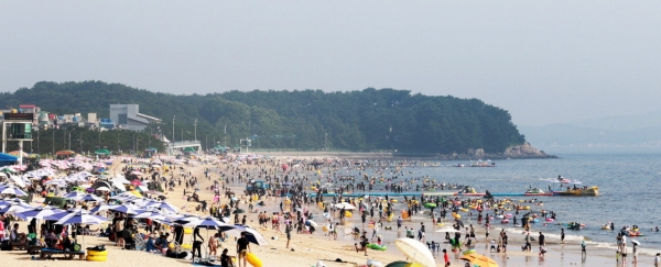 충남 보령시 대천해수욕장 여름 풍경(사진=보령시청)
