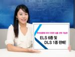 우리투자證, ELS 6종 및 DLS 1종 판매