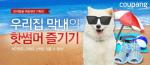 쿠팡, 반려동물 기획전…쿨매트·아이스크림 '인기'