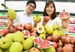농협하나로마트, 감기 예방 과일로 석류·모과 판매