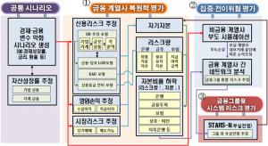 금감원, 금융그룹 스트레스 테스트 모형 연내 개발 