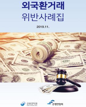 금감원, '외국환거래 위반사례집' 개정·발간