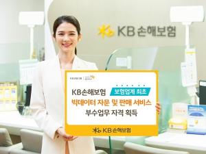 KB​손보, 빅데이터 자문·판매 서비스 ​부수업무 자격 획득