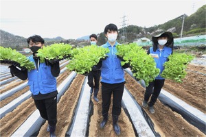 KT&G 임직원, 제천서 잎담배 농가 일손돕기
