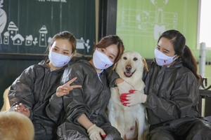 티웨이항공, 유기견 보호소 봉사활동 진행