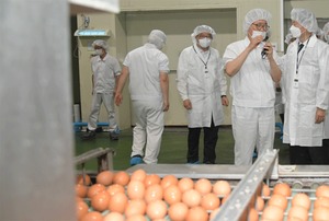 김강립 식약처장, 업소용 달걀 선별포장업체 점검