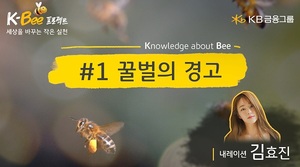 KB금융, 세계 환경의 날 맞아 '꿀벌의 경고' 영상 공개