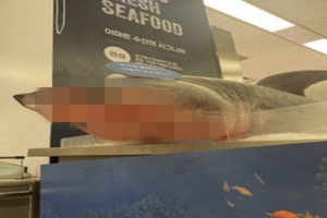 이마트 용산점, 상어 사체 인증 이벤트 논란