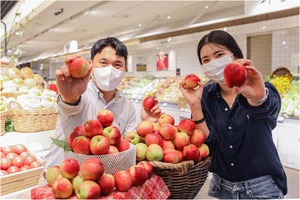 현대백화점, '달콤한' 설홍복숭아 판매