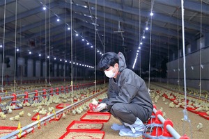 하림, 닭고기 공급 늘린다···정부 요청 수용  