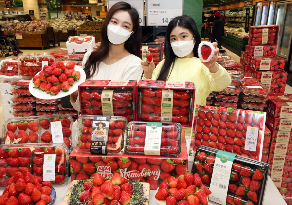 17일 서울 성동구 이마트 성수점에서 모델들이 '딸기 챔피언' 행사를 소개하고 있다. (사진=이마트)