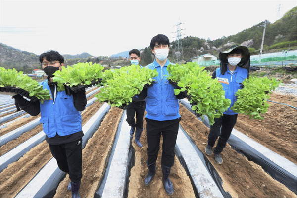 KT&G 임직원들이 지난 16일 충북 제천시 백운면 잎담배 농가를 찾아 이식 작업을 돕고 있다. (사진=KT&G)