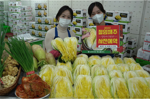 19일 서울 서초구 농협 하나로마트 양재점에서 모델들이 김장용 절임배추 예약 판매를 알리고 있다. (사진=농협유통) 