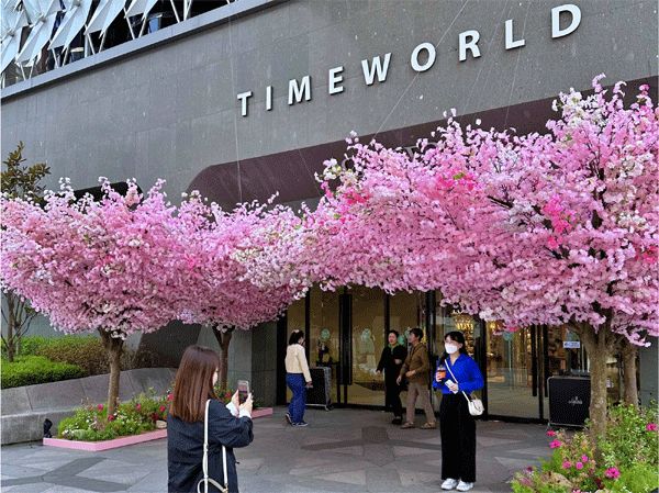 대전 서구 둔산동 갤러리아백화점 타임월드 1층 랜드마크스퀘어에 설치된 벚나무를 배경으로 시민들이 사진을 찍고 있다. (사진=한화갤러리아) 