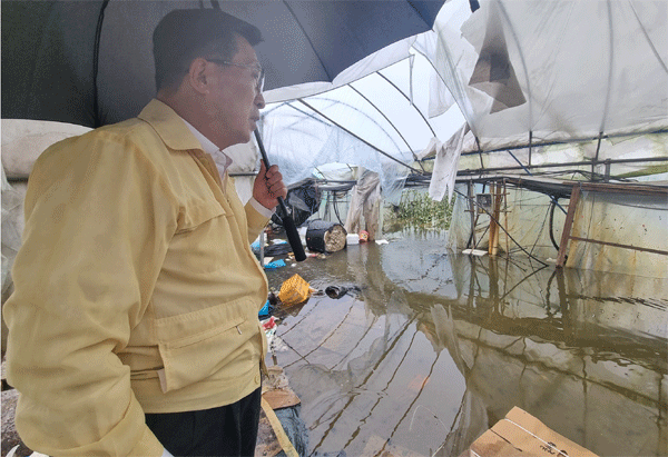 김춘진 한국농수산식품유통공사(aT) 사장이 18일 전북 익산시의 멜론 재배 농가에서 폭우 피해 현장을 점검하고 있다. (사진=한국농수산식품유통공사) 