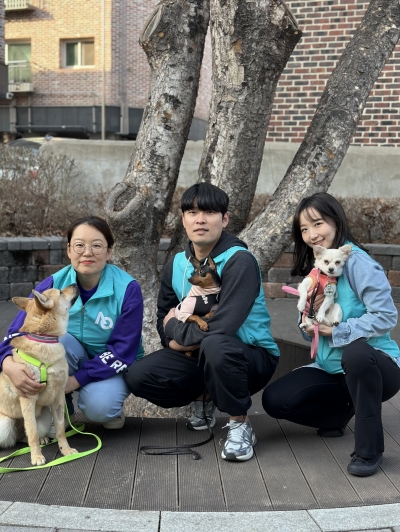 지난 15일 인천시 소재 유기견 보호소 '행복한 유기견 세상'에서 봉사활동을 진행한 에어서울 임직원들이 기념 촬영을 하고 있다. (사진=에어서울)