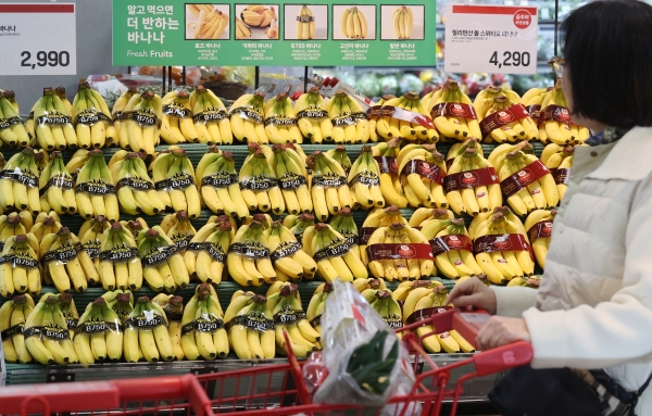 서울의 한 대형마트에서 시민이 바나나를 고르고 있다. (사진=연합뉴스)