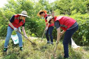컴투스, 임직원 가족과 함께 '노을공원 숲 가꾸기' 봉사활동