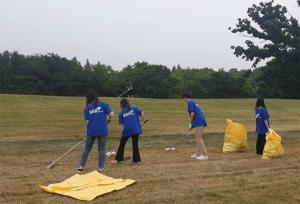 bhc치킨 해바라기봉사단, 올림픽공원 잔디밭 가꾸기