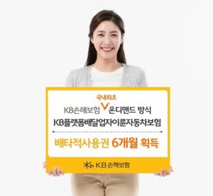 KB손보, 'KB플랫폼배달업자이륜자동차보험' 배타적사용권