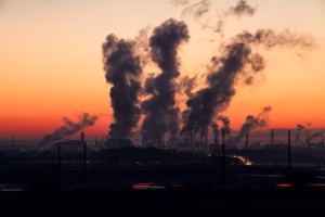 해외 탄소배출권 가격 '쑥쑥', 국내는 6개월만에 최저···왜?