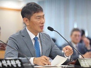 [국감] '총선 출마설' 이복현 "금감원서 제 역할 필요"